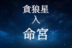 貪狼屬性|紫微斗數【貪狼星入命宮】解析